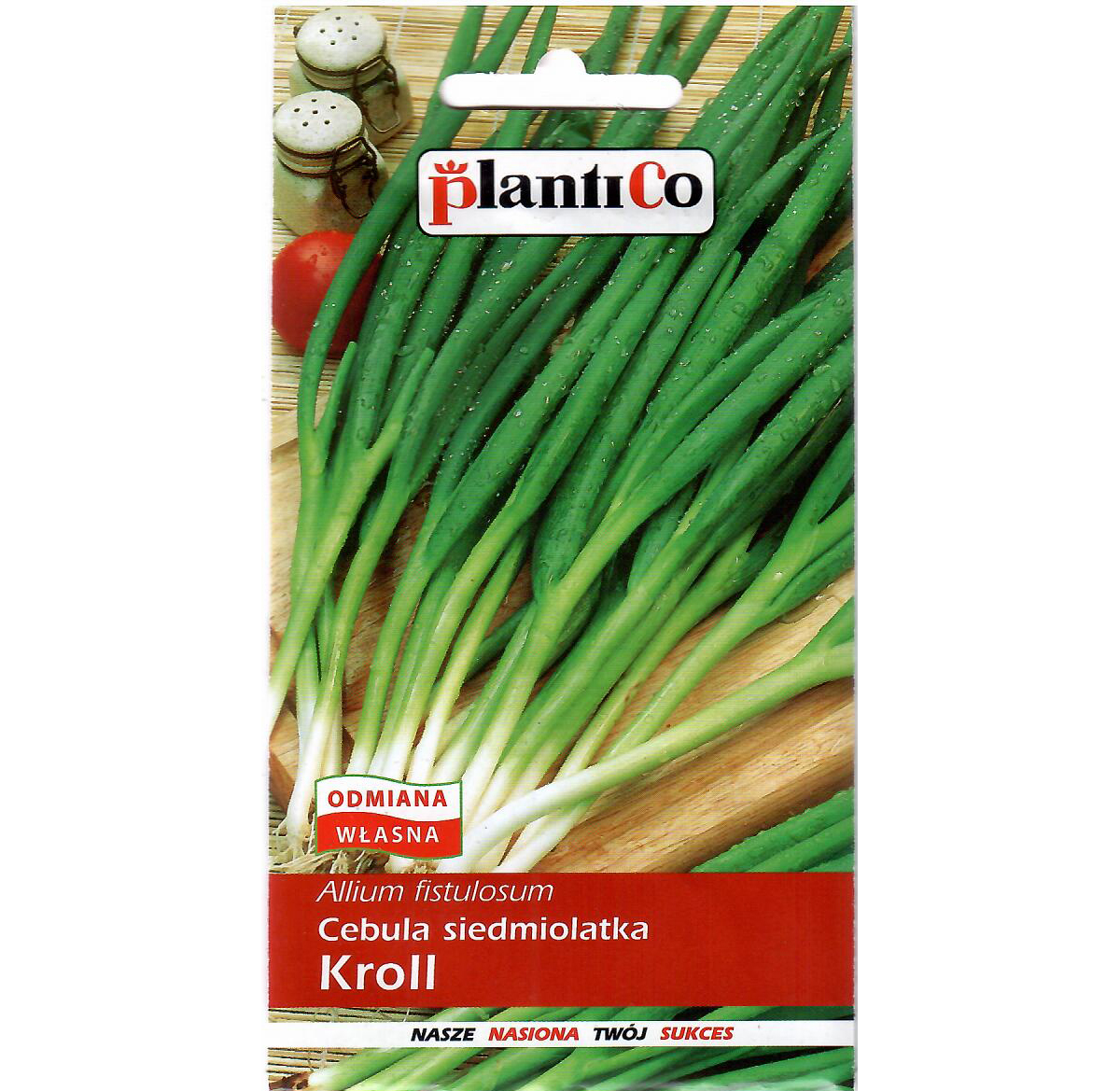 семена лук батун фактор 0,15 г. лук батун лучшие сорта для открытого грунта. лук батун описание. батун лук батун. лук батун описание.