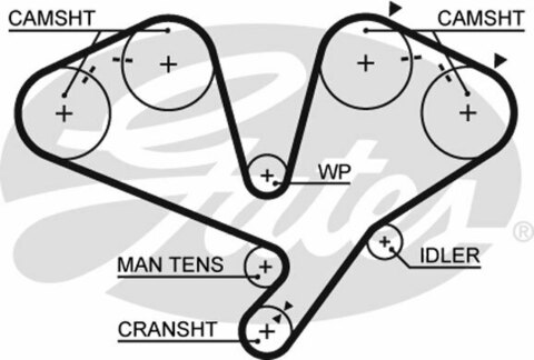 Ремень ГРМ GATES   5442XS (T253)