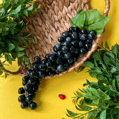 Виноград искусственный натуралистичный, БОЛЬШАЯ ГРОЗДЬ, длина 33 см., более 100 ягод, цвет темный, 1 гроздь.