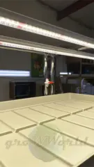 Многоярусный гидропонный стеллаж 4 яруса B2125хД2100хШ600мм до 400 растений