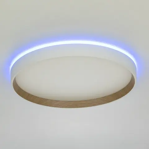 Потолочный светодиодный светильник Citilux Etalon CL750320R