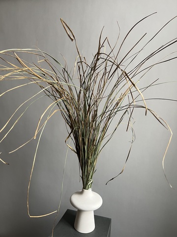 Грасс большой пучок