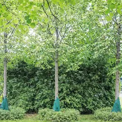 Мешок для полива 40 л.