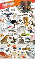 Animals Poster