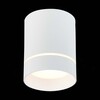 Светильник потолочный ST Luce ST115.532.12