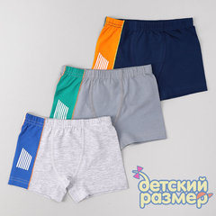 Боксеры