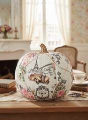 0229 Пленочный трансфер ProArt