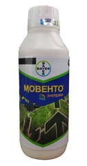 Мовенто Энерджи