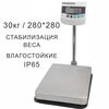 Весы товарные напольные CAS BW-30RB, RS232, 30кг, 10гр, 280x280, Влагозащита IP65, с поверкой, съемная стойка