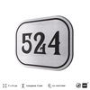 Номерок на дверь квартиры 524, для кабинета, офиса, шильдик 9 х 7 см, серебристый, Айдентика Технолоджи