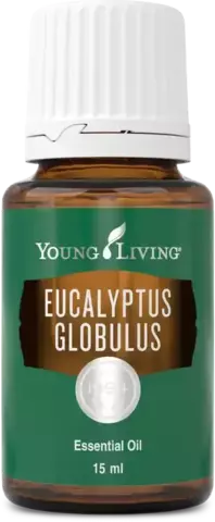 Young Living. Эвкалипт Шаровидный (Eucalyptus Globulus) – 15 ml