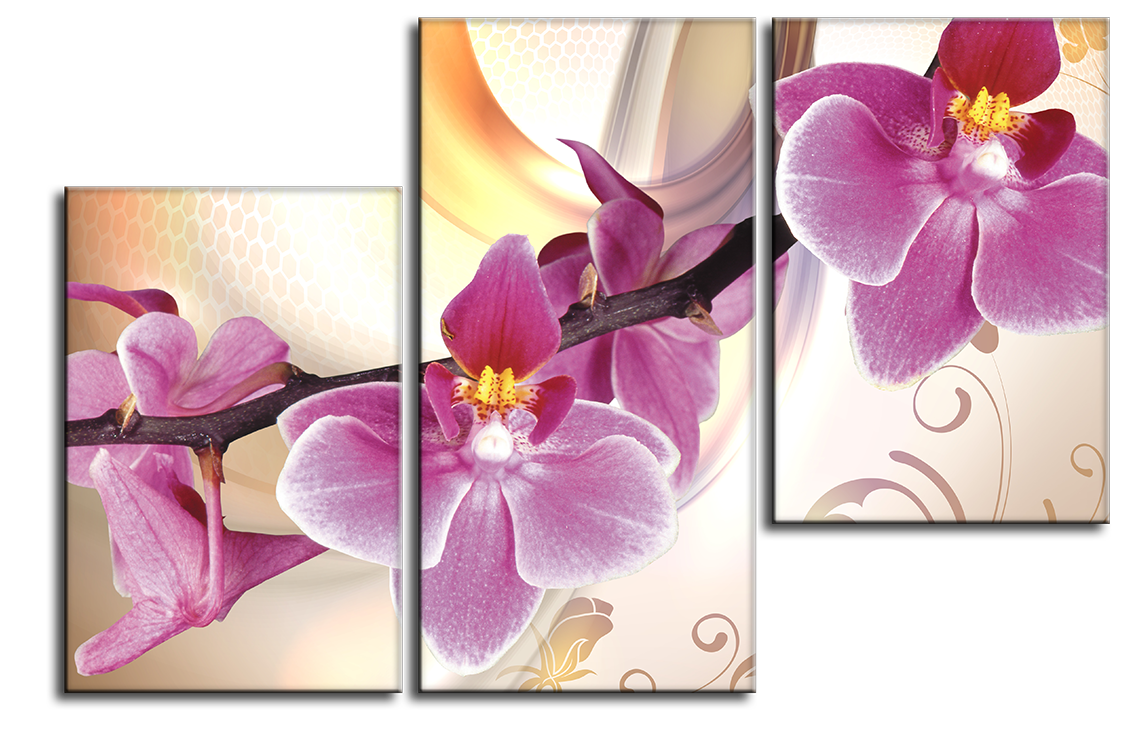 Картина 50*70см Орхидея