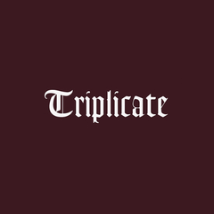 Bob Dylan / Triplicate (3CD)