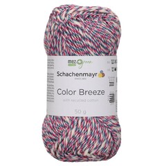 Пряжа Schachenmayr Color Breeze (81)