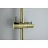 Aquatek AQ2012BG AQ2012BG ЕВРОПА душевой гарнитур 1jet 65 см, шлиф. золото