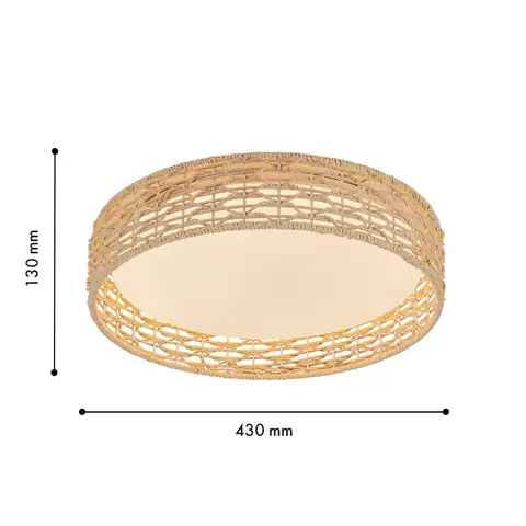 Потолочный светодиодный светильник F-Promo Conrad 4749-4C