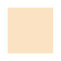 Матирующая компактная пудра для лица  Mattifying Compact Powder SPF 20  тон 02 Natural Beige , ( Витэкс )