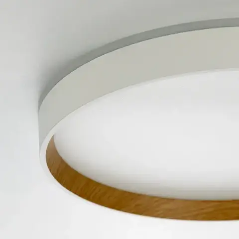 Потолочный светодиодный светильник Citilux Etalon CL750320R