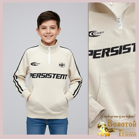 Толстовка трикотаж (9-13) 260123-WQ172