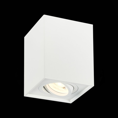 Светильник потолочный ST Luce ST109.507.01