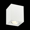Светильник потолочный ST Luce ST109.507.01