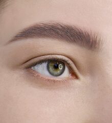 LuxVisage Гель-тинт для бровей водостойкий BROW TINT waterproof 24H тон 102 Soft Brown 5г