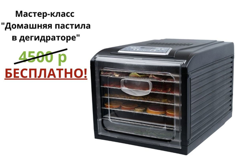 Дегидратор (сушилка) RawMID Dream Vitamin DDV-07 черный