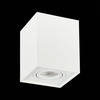 Светильник потолочный ST Luce ST109.507.01