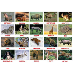 Вундеркинд с пеленок. Набор обучающих карточек"Дикие животные"