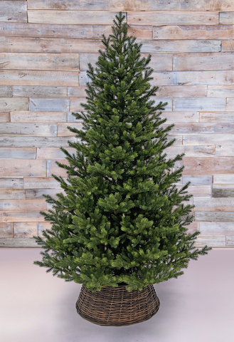 Ель TreeDeLuxe Датская 100% литая 185см зеленая