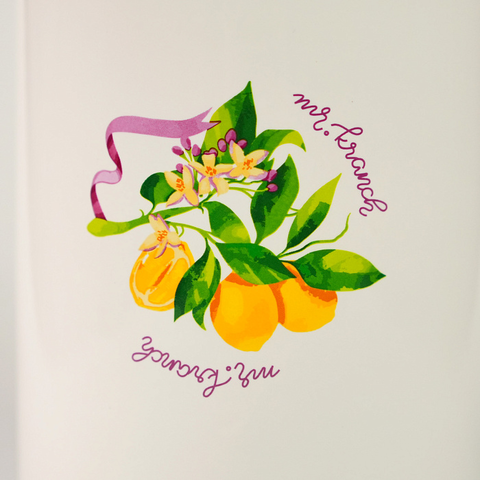 Бокс Mr.Kranch керамический для хранения корма для собак Лимоны из Прованса 1900 мл белый