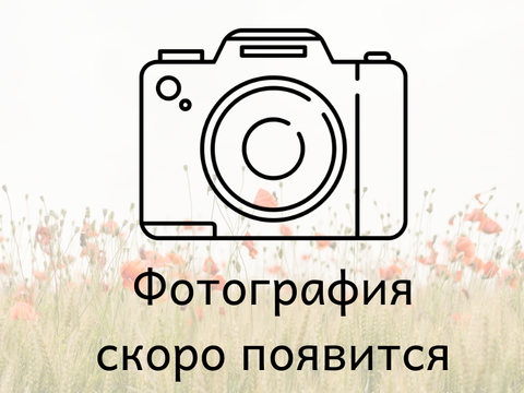 Вербена микс