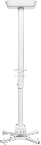 Кронштейн для проектора Cactus CS-PROF031L-WT белый макс.35кг потолочный поворот и наклон