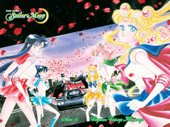 Sailor Moon. Том 4