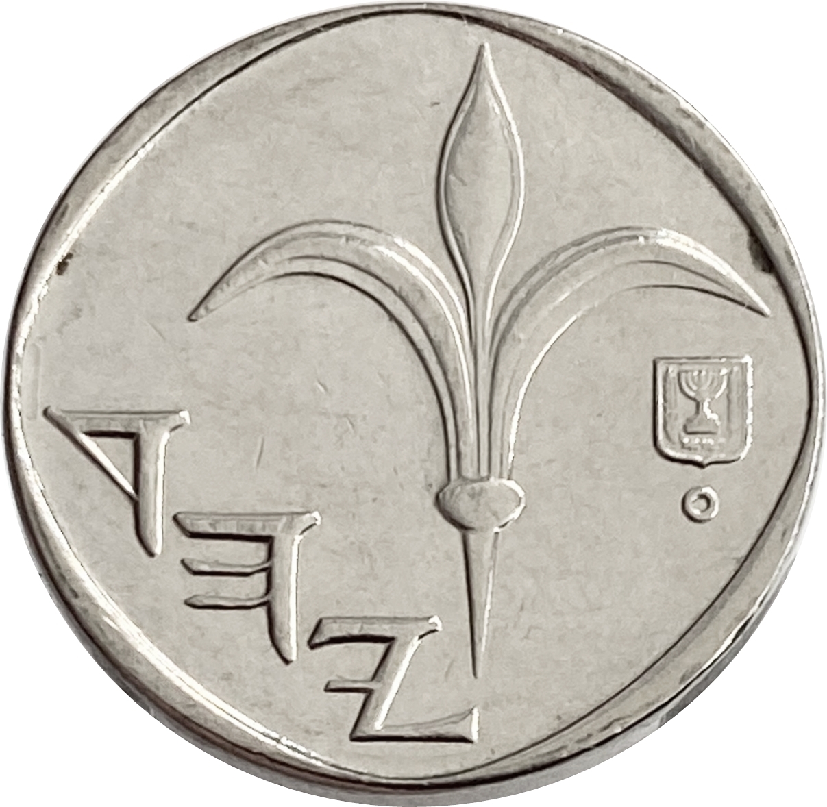 Шекели в рубли. 1 Шекель монета. Израильская монета 1 шекель. 5 Шекелей монета.