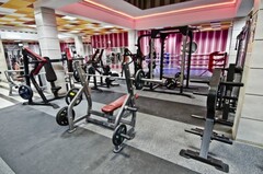Олимпийская горизонтальная скамья Aerofit IT7014