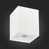 Светильник потолочный ST Luce ST109.507.01