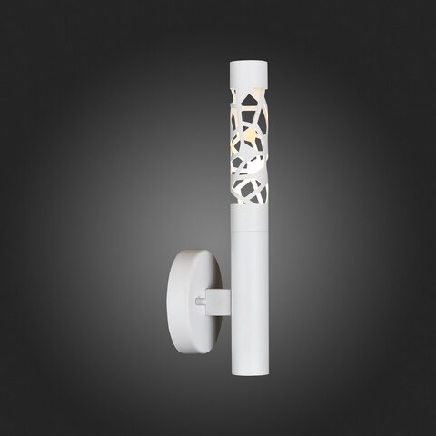 Светильник настенный ST Luce Fizorio SL1577.501.01