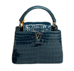 Сумка Louis Vuitton Capucines Mini темно-зеленый