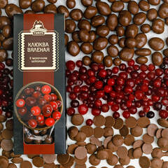 Драже Клюква вяленая в молочном шоколаде / коробка /100г / Территория Тайги