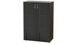 Шкаф со стеклом для Руководителя