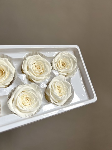 Роза классическая выбеленная d=5 см (упак 6 шт)