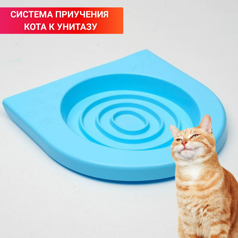 🐱Инструкция по приучению кошки к унитазу | Нос, хвост, лапы | Дзен