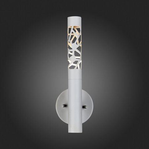 Светильник настенный ST Luce Fizorio SL1577.501.01