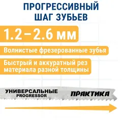 Пилки для лобзика универсальные ПРАКТИКА тип T123X Прогрессор 100 х 75 мм, грубый рез, HSS (038-722)