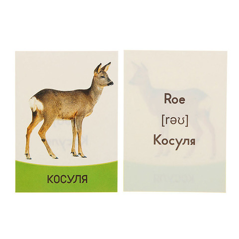 Обучающие карточки 