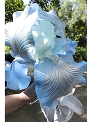 Молд пластиковый лепесток 