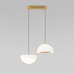 Подвесной светодиодный светильник Eurosvet Emisfero 50083/2