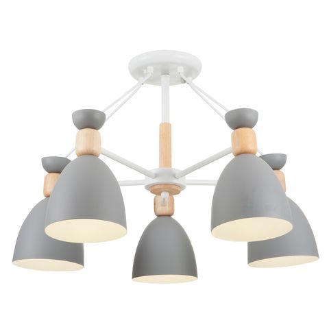 Потолочный светильник Freya Delia FR5033CL-05W