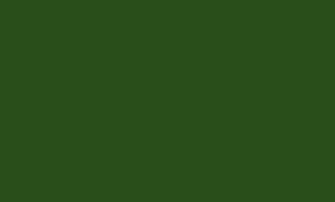 Гладкий лист (в пленке) 1,25 х 2,00м (Ral 6002(Зеленая листва))